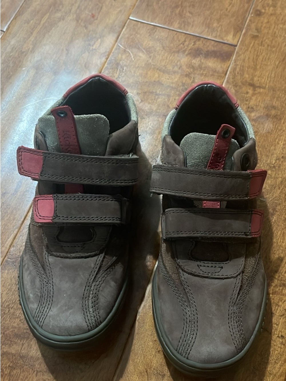 Kickers boys Velcro shoes